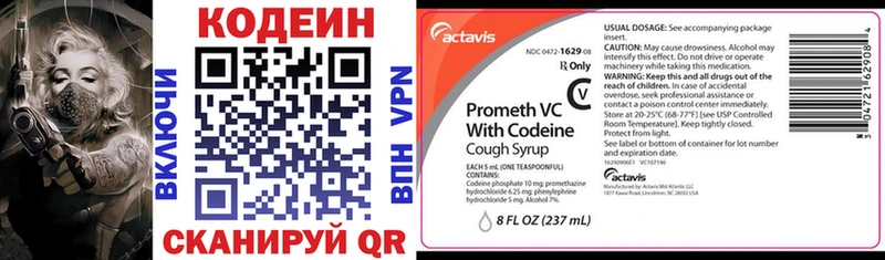 гидра ТОР  маркетплейс состав  Фрязино  Кодеиновый сироп Lean Purple Drank  купить наркотики сайты 