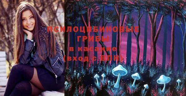 мдпв Зеленокумск