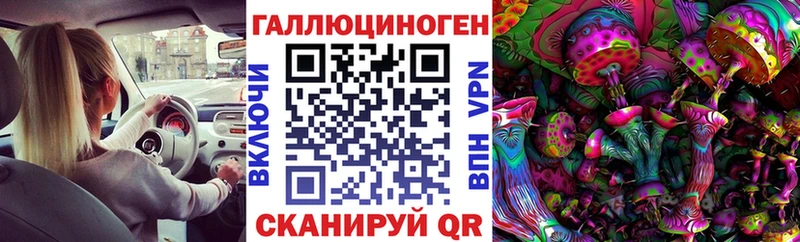 Псилоцибиновые грибы Psilocybine cubensis  Фрязино 