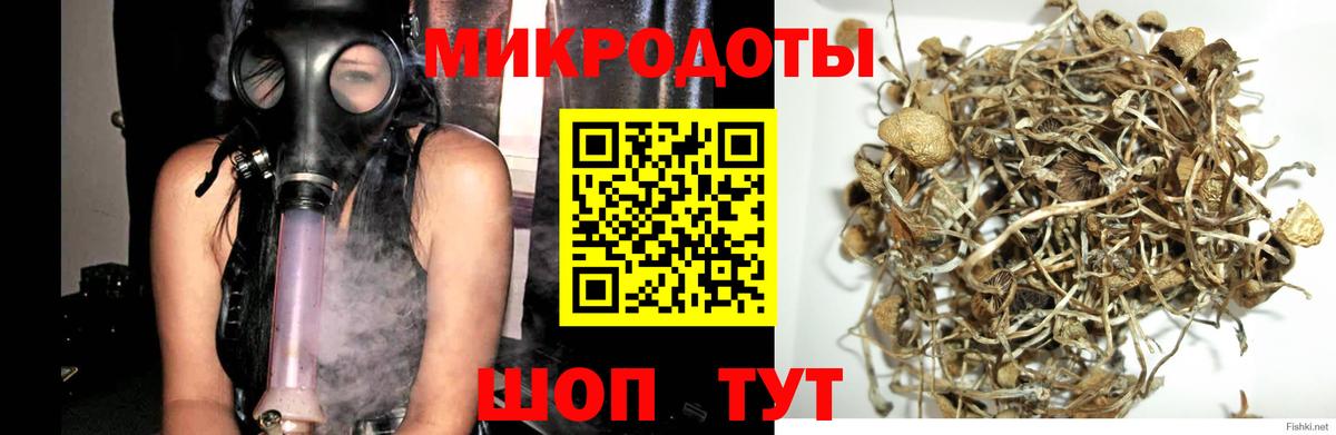 Галлюциногенные грибы GOLDEN TEACHER  Псилоцибиновые грибы прущие грибы  Фрязино  Вход с VPN 
