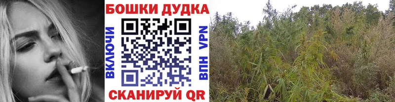 Бошки Шишки Ganja  наркота  Фрязино 